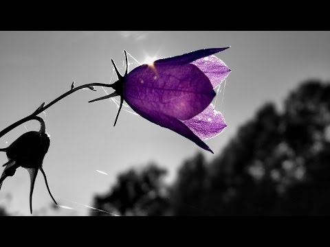 Dub Techno Mix Volume 1  ► 119 bpm ♫