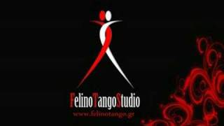 FelinoTango Studio