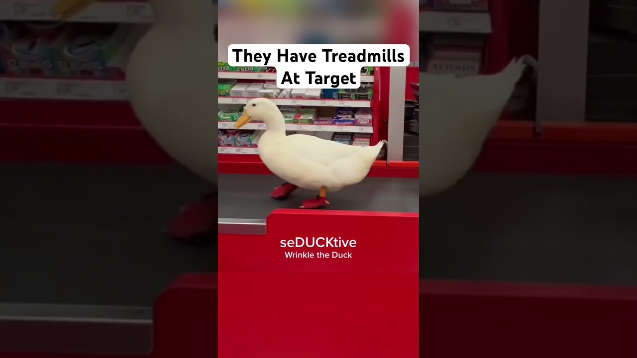 Duck Walking at Target