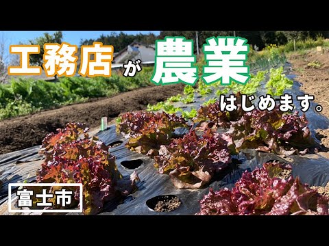 富士市の工務店が農業はじめます。富士山のふもとで育てる野菜たち