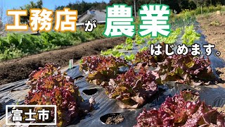 富士市の工務店が農業はじめます。富士山のふもとで育てる野菜たち