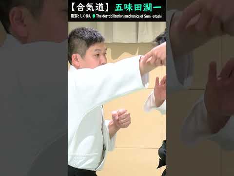 五味田潤一:隅落としの崩しのメカニズム【解説】#short #aikido #aikidotechniques #aikidoaikikai #aikidolife #legend #budo