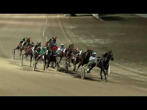 2021.02.13. 08. futam - SALUS HENDIKEP