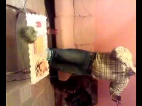 luci de la scapau cinta la costi la rogova