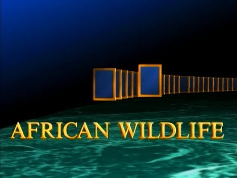 Etosha: Place of Dry Water (African Wildlife) (1980)