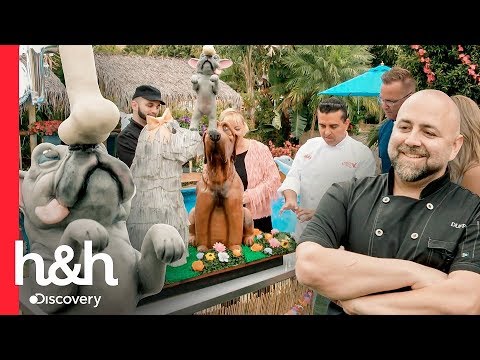 Cachorro pula sobre o bolo! | Buddy vs Duff: O Duelo | Discovery H&H Brasil