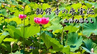 【京都市山科区の暮らし】勧修寺の氷室池