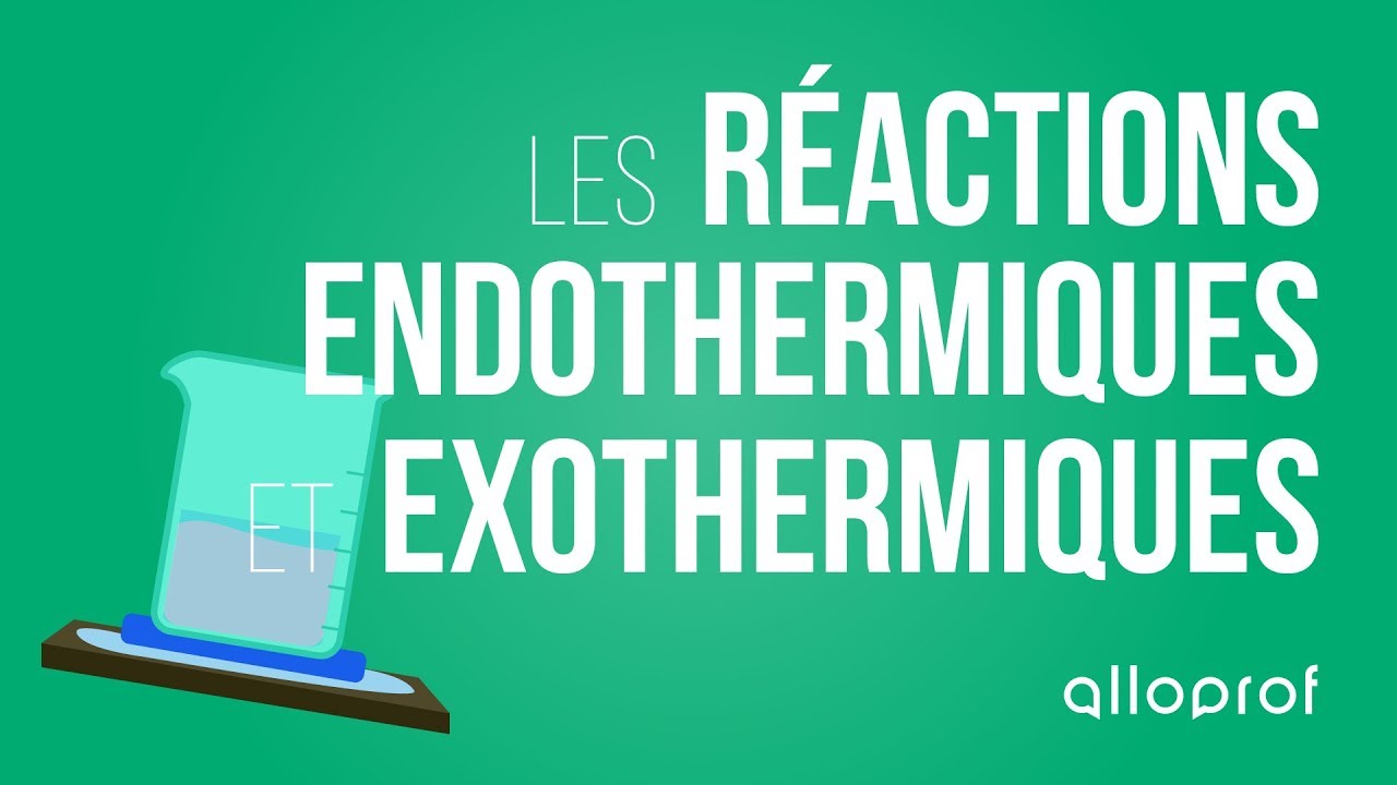 Les réactions endothermiques et exothermiques