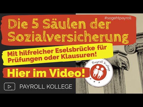 Die 5 Zweige der Sozialversicherung (Die 5 Säulen der Sozialversicherung)