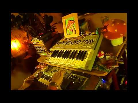 Roland Sh-101 / Sh01a / Cr68 / Rhythm Po12 / Korg Sq-1 / KaossPad / Boss Re-201 / RRV-10