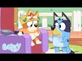 LIVE Bingo S Adventures Bluey