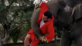 French Montana Gets Mangled By Elephant On His Birthday