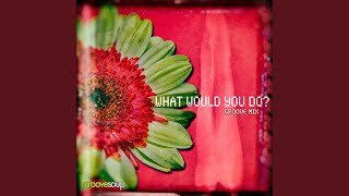 What Would You Do? (Groove Mix) (feat. Melissa Collins)