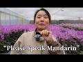 Is Cantonese Disappearing In China I Asked People In Guangdong