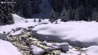 Relax with WHITE CHRISTMAS LOUNGE - 07 AVE MARIA (PURERELAX.TV)