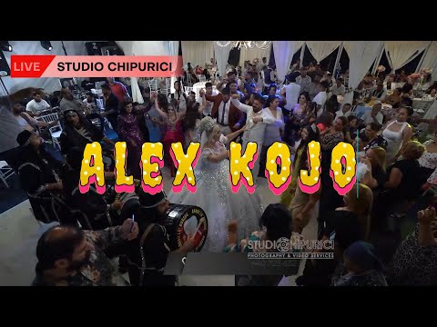 Alex Kojo & Formatia Kana Jambe ✅ Stim cu toti cine e regina 😜❤ 2022 Nunta Lica si Flori