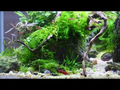 Update on 02/01/2016