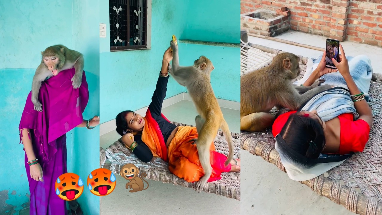 Neeraj MAURYA Vlogs Live Stream