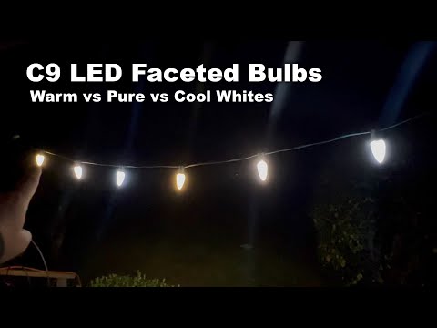 C9 Bulbs Warm White vs Pure White vs Cool White - LED Christmas Lights