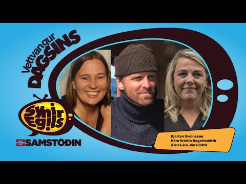 Vantar okkur stjórnmálafólk sem tekur stöðu með almenningi gegn auðvaldinu?