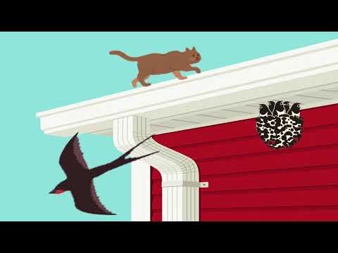 Motanul pedepsit de Elena Farago/poezie