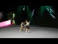 The Beauty And The Beast Fighters Cheerleaders