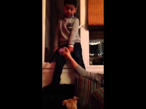 Chinese boy VS angry dog