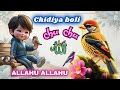 Ek Chidiya Bole Chu Chu Allah Hoo Allah Hoo Islamic Poem Lullabies For Kids 30minuties Poem