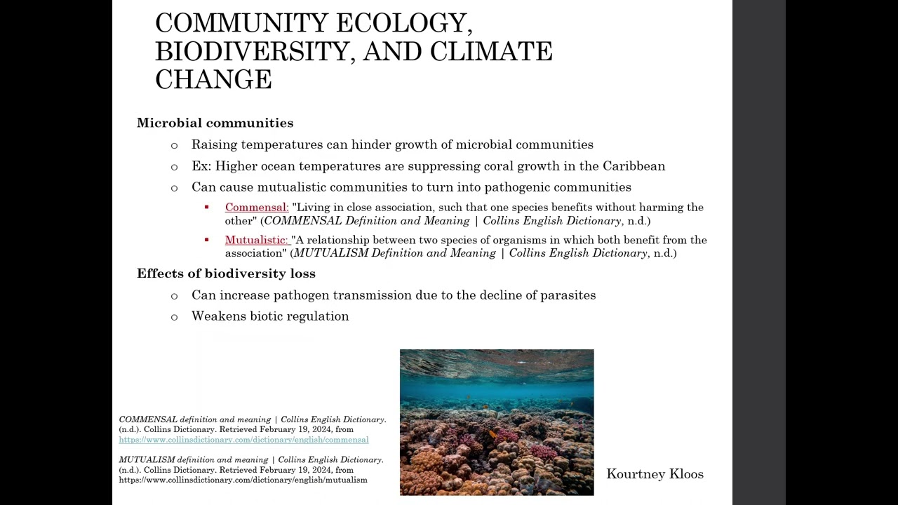 PowerPoint Slide Show     ppt Infectious Disease 2024 02 20 23 10 44