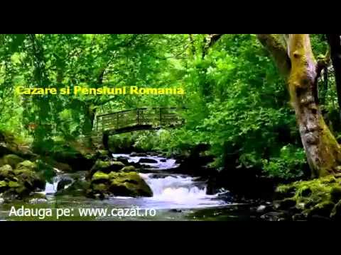 Cazare Moroda, Arad - Cazat.ro