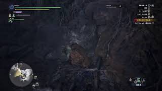 ［珍珍亭］モンハン実況　氷地獄　導き編