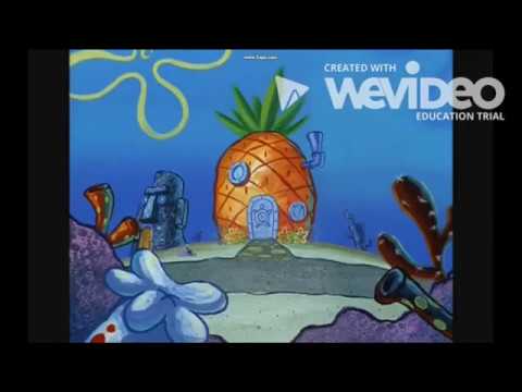 TimonBob MeerkatPants Intro