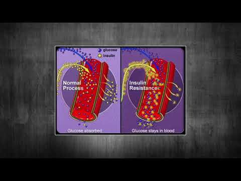 ALFALAB LABORATORIJA - ANALIZA ŠEĆERA U KRVI