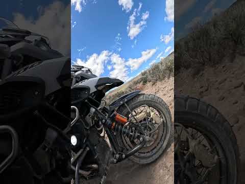 Some suspension action on the Oregon BDR