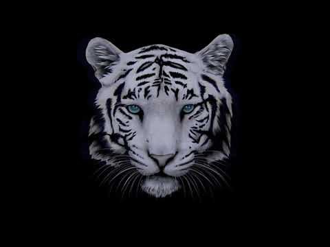 Lenta 207 - Hela (Official Audio)