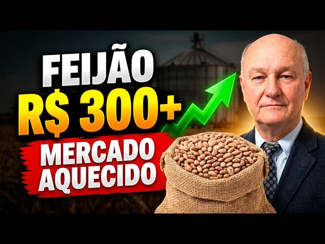 Feijão Carioca Acima de R$300, Polêmica no Leilão do Arroz e Alta no Trigo: Análise do Mercado