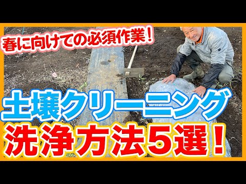 冬場の土壌浸食を防ぐにはどうすればよいでしょうか？今すぐ庭で取り入れるべき10のアクション！  庭園
