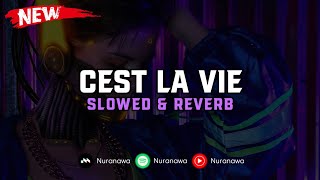 Download lagu DJ Cest La Vie ( Slowed & Reverb ) 🎧 mp3