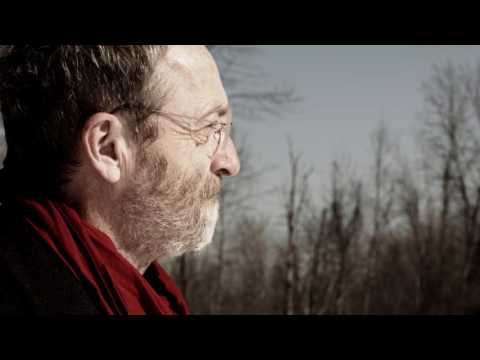 Fool - David Francey (Official Music Video)