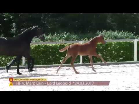 KN 55 Murillo Hf v. Marc Cain - Lord Leopold