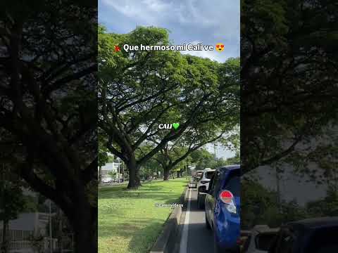 Que hermoso mi Cali ve #cali #valledelcauca #noches #colombia #viajes #turismocolombia #col #shorts