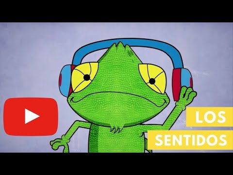 Los sentidos  | Camaleón