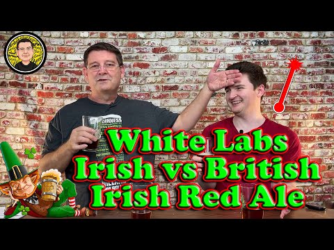 Taste Testing Irish Red Ale Infused with Rye and Toasted Caraway Seeds