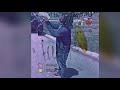 TeeHTMG Freestyle