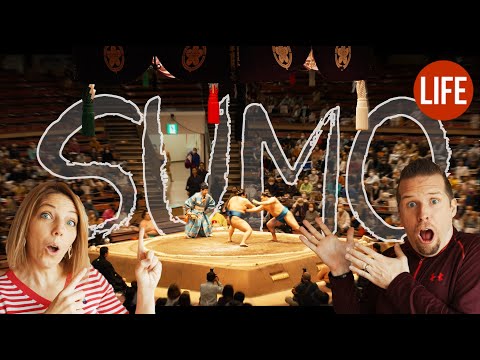 第一次參加相撲比賽｜日本的生活 第102篇 (We Go To Our First Sumo Tournament | Life in Japan Episode 102)