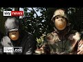 10 Most Dangerous Street Gangs In The UK