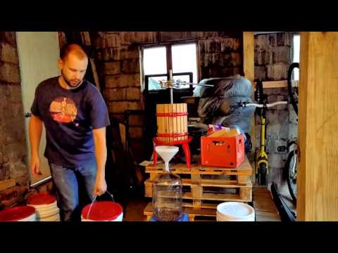 Making Red Wine From Grapes - Part 2