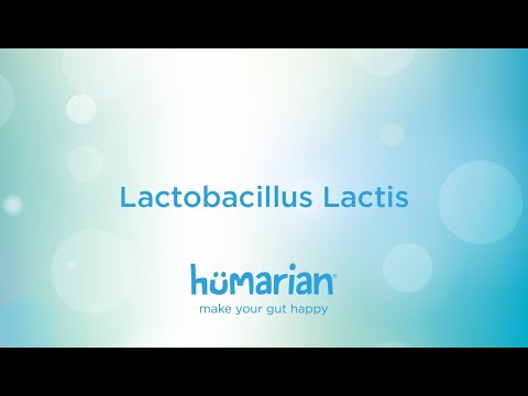 Lactobacillus lactis probiotic powder, packaging type: box