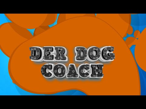 Auffälligkeiten beim Hund