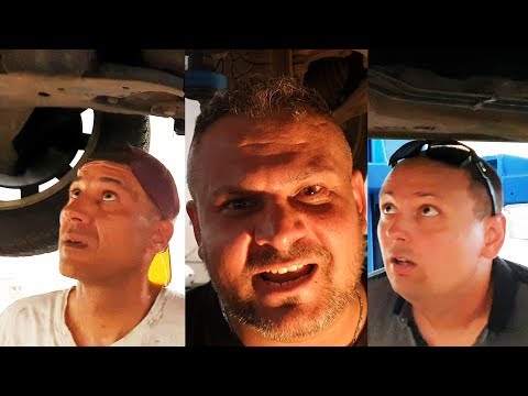 az antihelmintikus kezelés menete mi az kezelés fekete köménymagokkal a férgek számára
